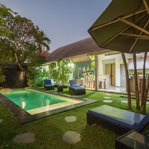 Jalak Seminyak (Bali)